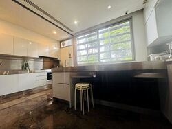 Nassim Park Residences (D10), Condominium #476703091